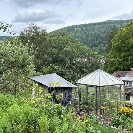 Wohn-Eitel Romantik Bad Wildbad Ngoại thất bức ảnh